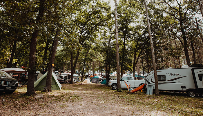 Blue Ox Music Festival - Pines-Reserved Camping