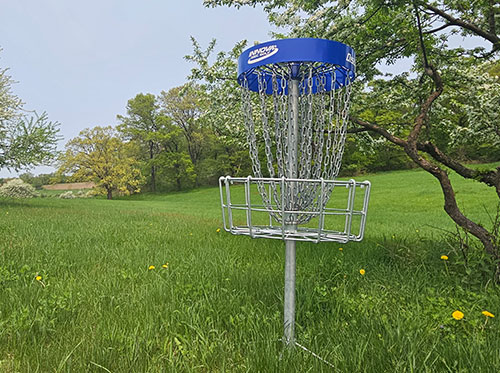 Disc Golf at Blue Ox Music Festival.