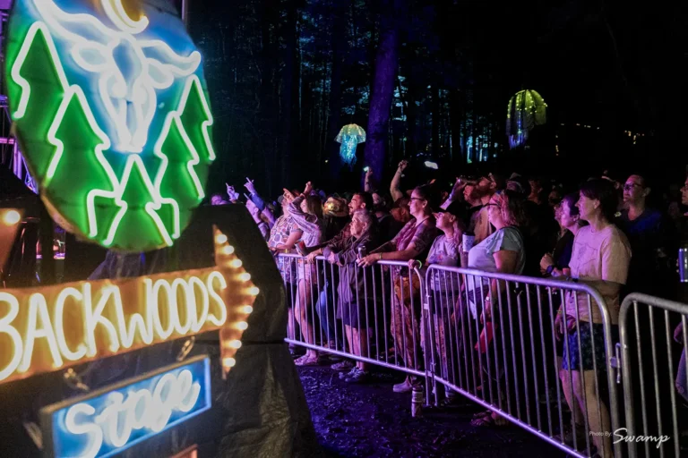nighttime concert with a group of people