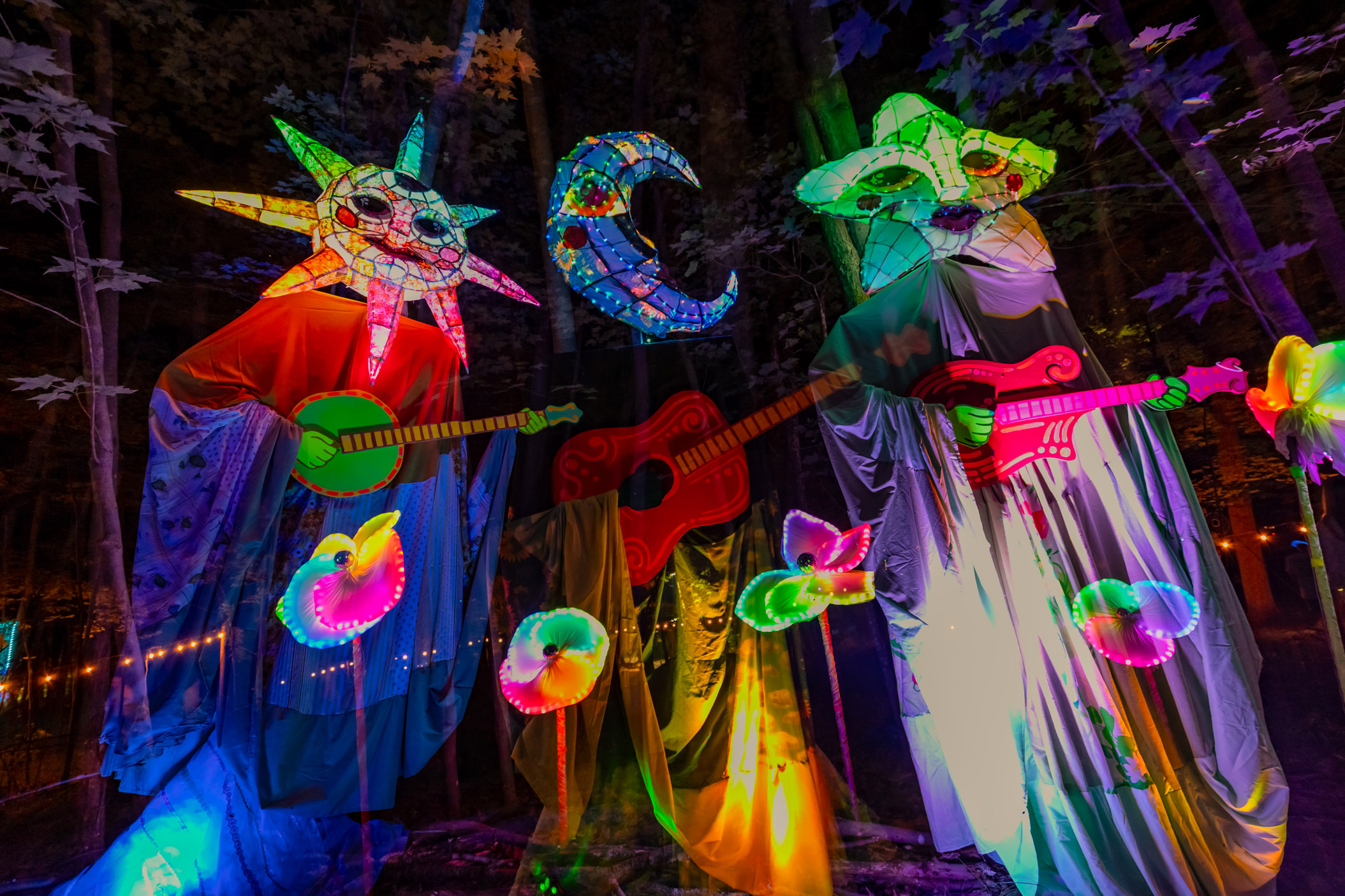 Spirits of the Forest